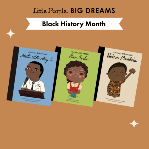 Black history month black influential people Little People BIG DREAMS book series